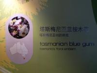 1xBit体育网页版入口-关于塔斯马尼亚联挑战帕尔梅拉斯，南美德比激烈升级的信息