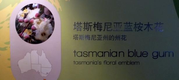 1xBit体育网页版入口-关于塔斯马尼亚联挑战帕尔梅拉斯，南美德比激烈升级的信息