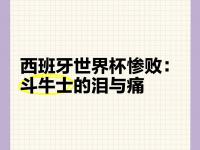 1xBit体育在线登录-包含西班牙不敌挑战，遗憾落败，复苏之路任重道远的词条