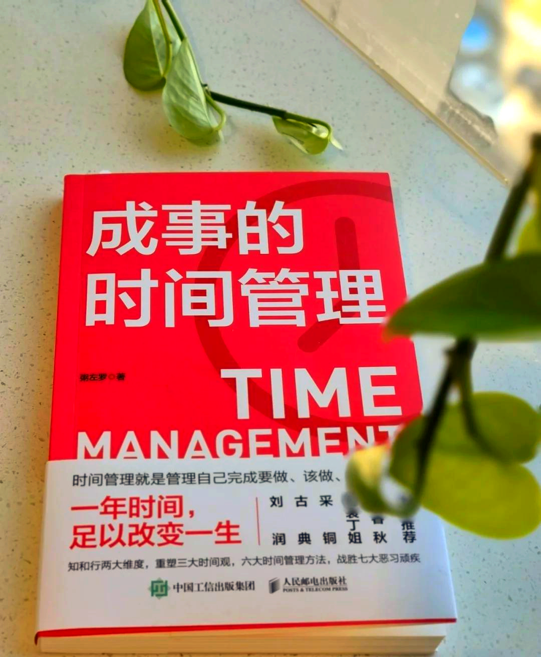 法兰克福再度陷入困境，急需全队反思的简单介绍