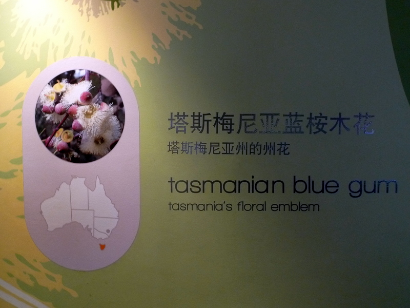 关于塔斯马尼亚联挑战帕尔梅拉斯，南美德比激烈升级的信息