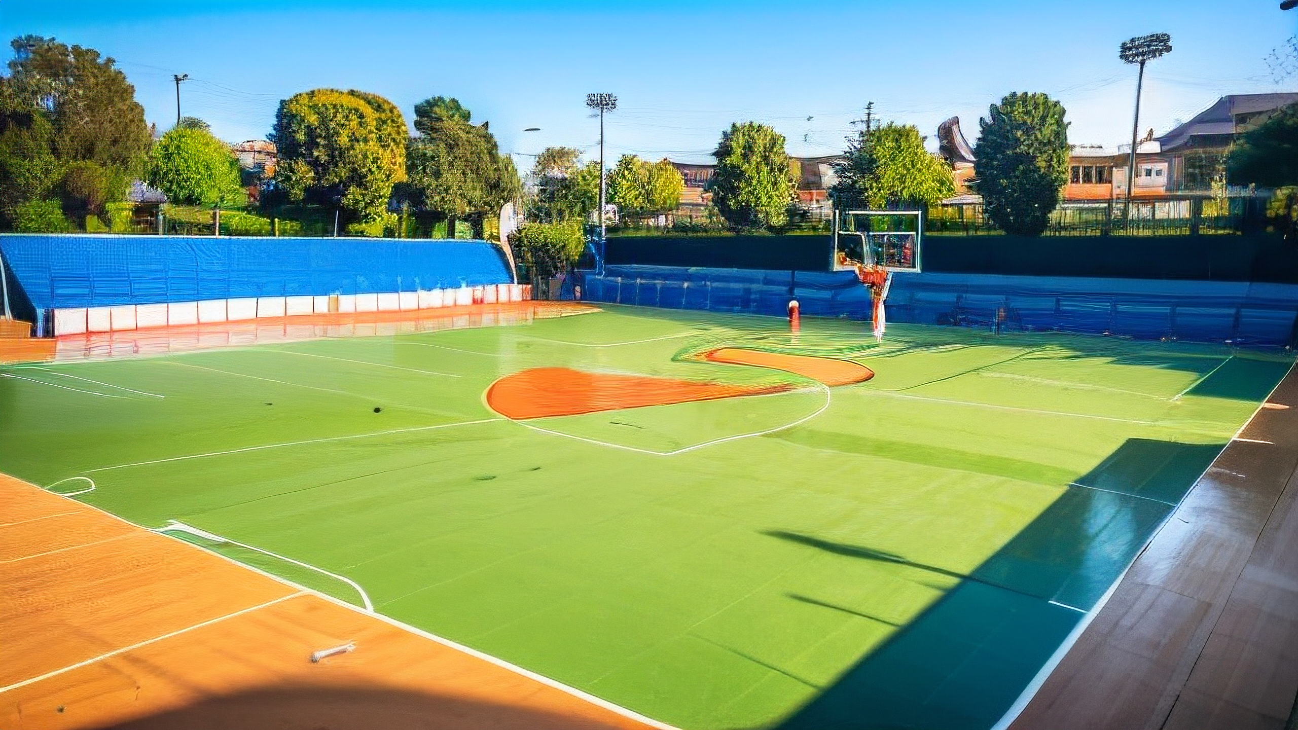 体育赛场上出现突发状况，引发广泛关注